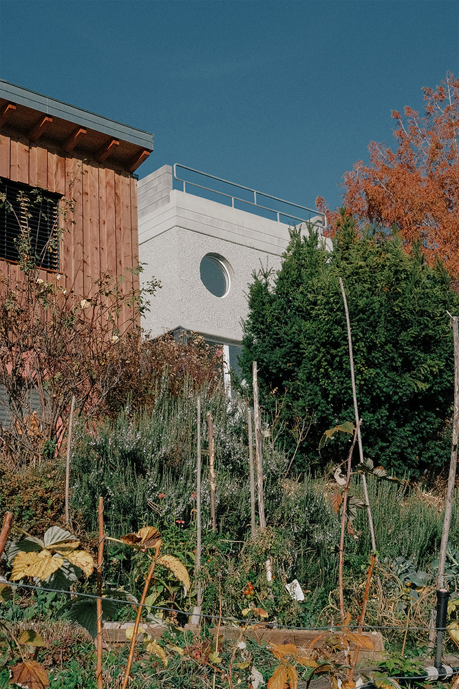Mon58_01__Claire-Alhanko Mon58 house / associati